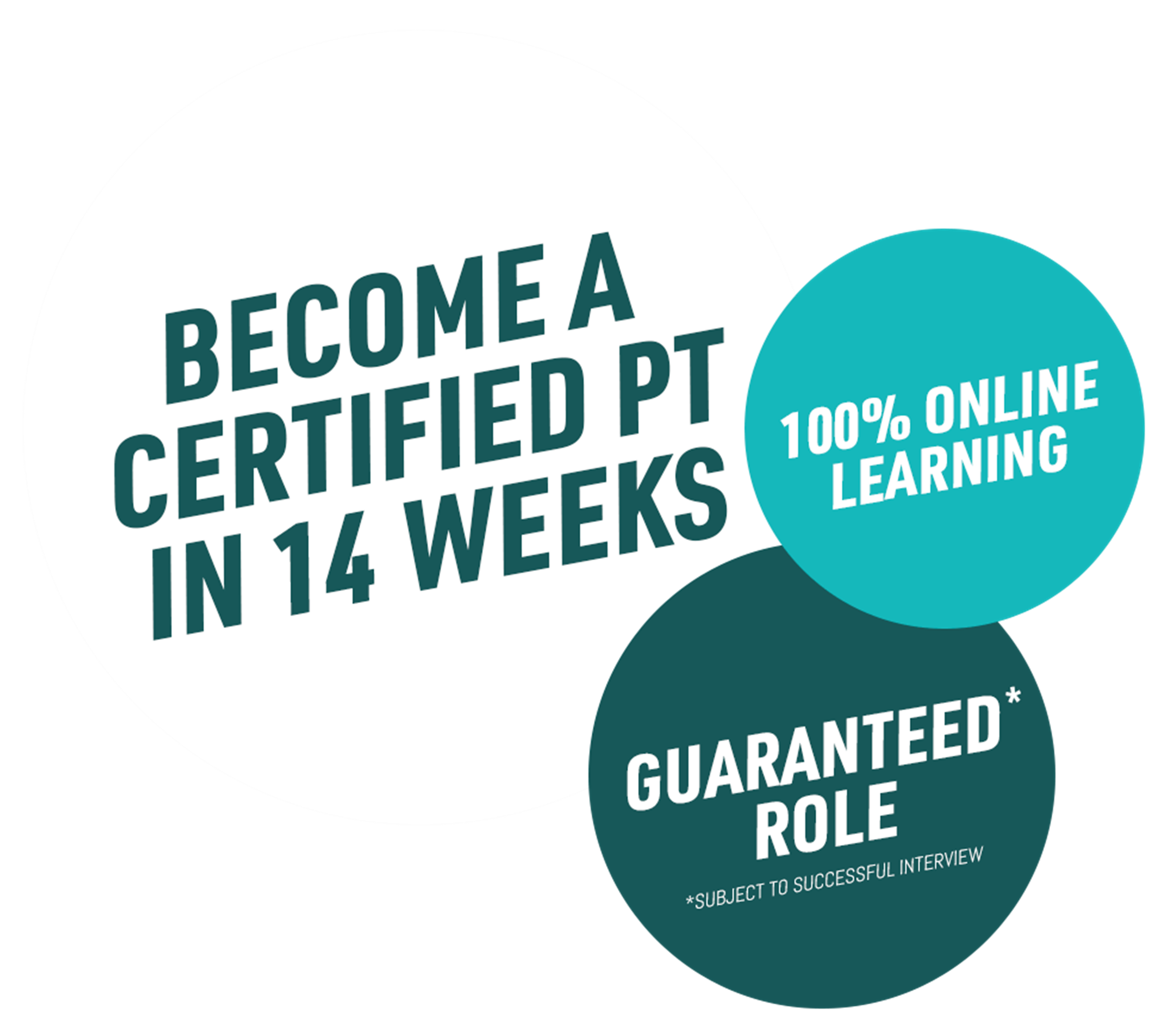 Become a certified PT in 14 weeks
