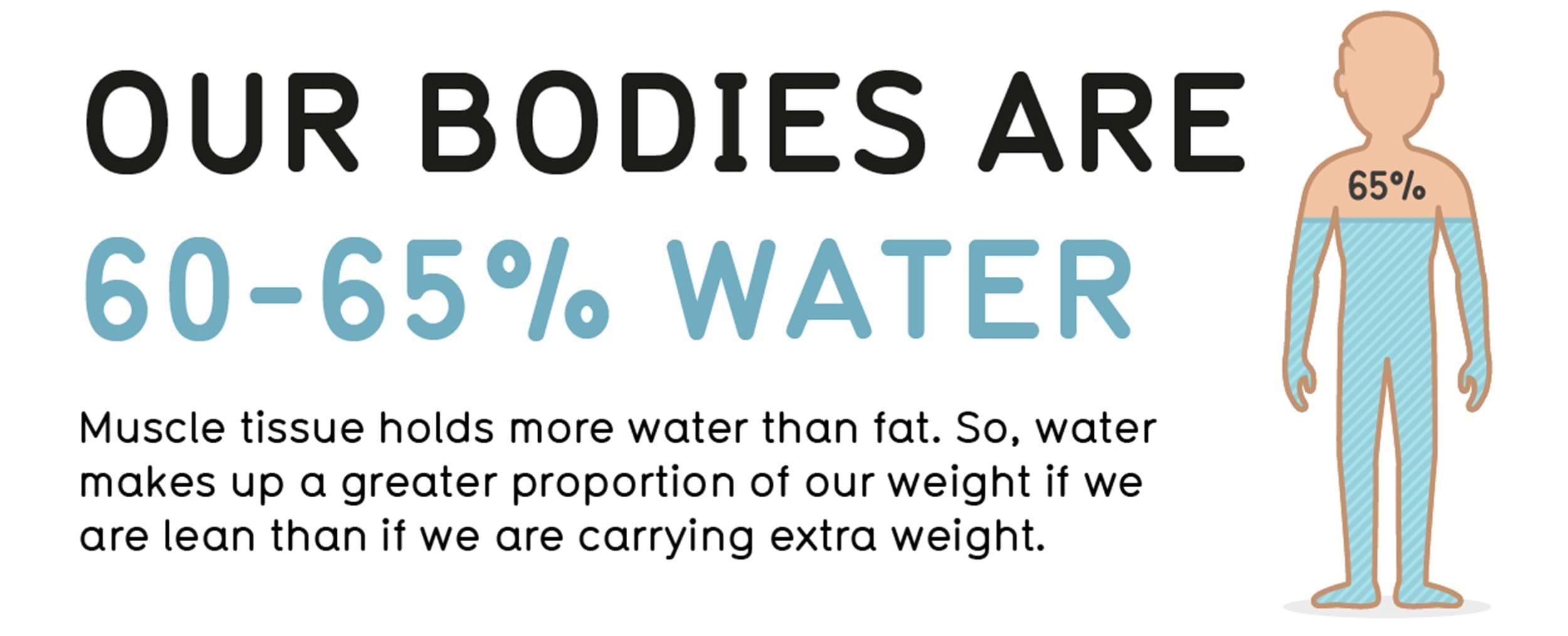 Our bodies are 60-65% water