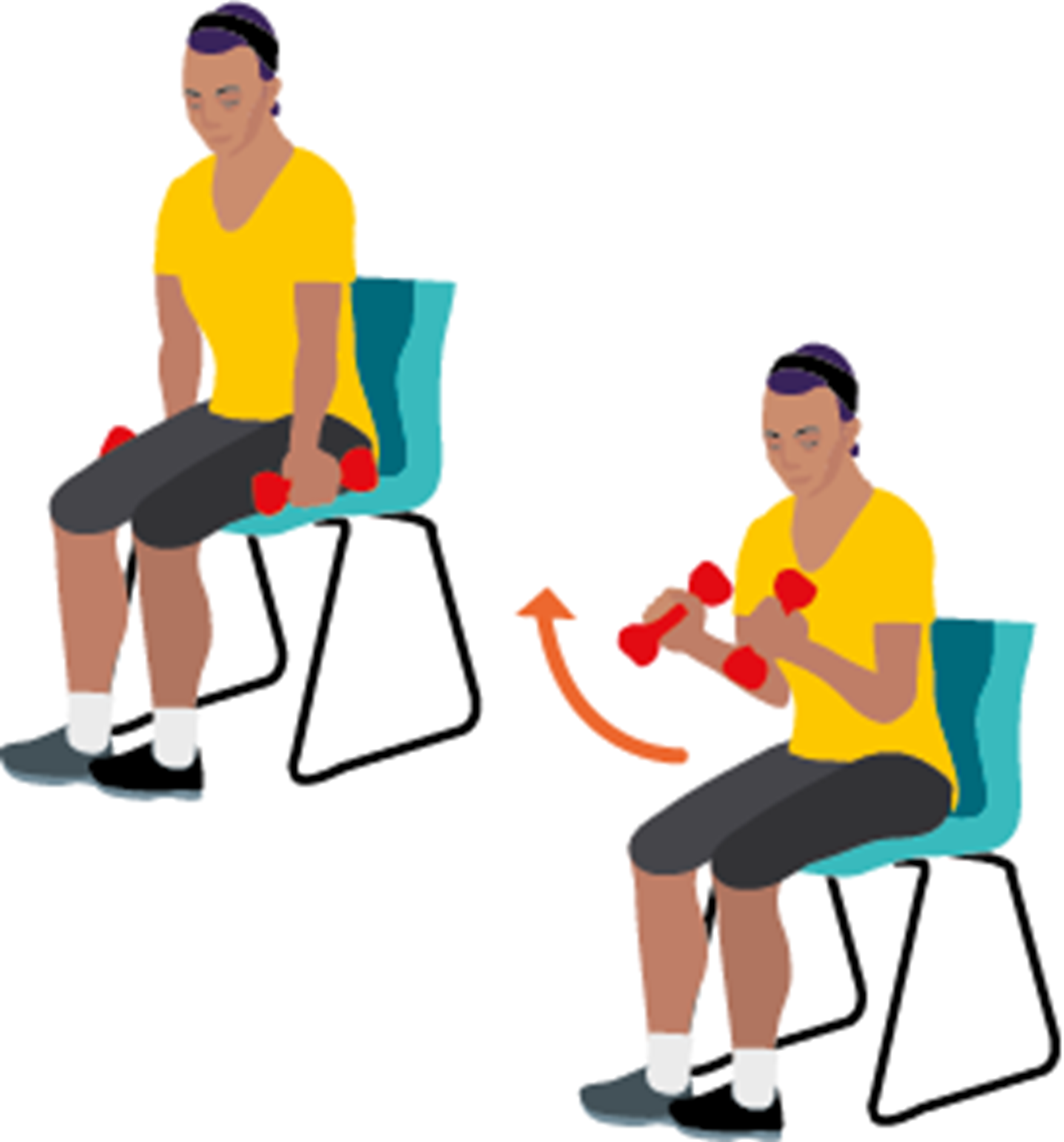Bicep curls - seated exercises for seniors